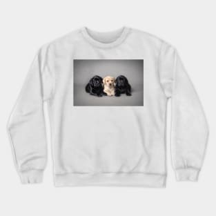 Labrador retriever puppies Crewneck Sweatshirt